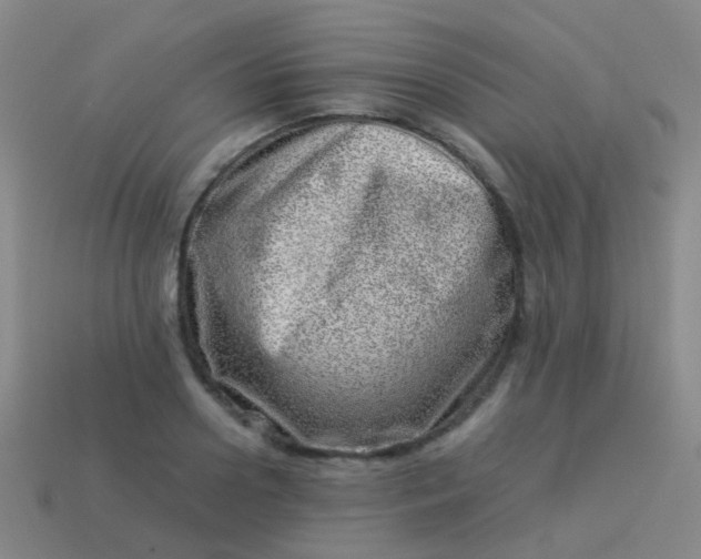 X0000114010938200910161729