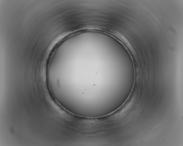 X0000114010939200910161729