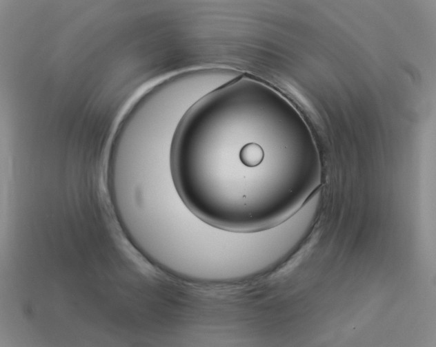 X0000114010940200910161730