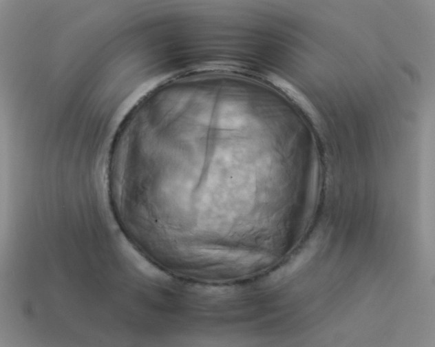 X0000114010941200910161730