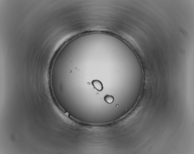 X0000114010942200910161730