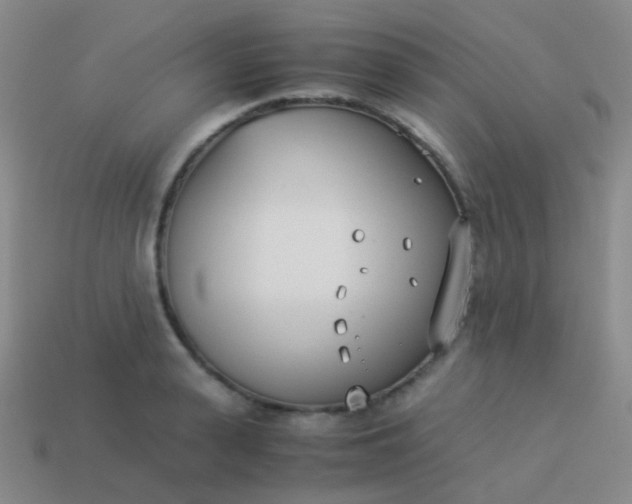 X0000114010943200910161730