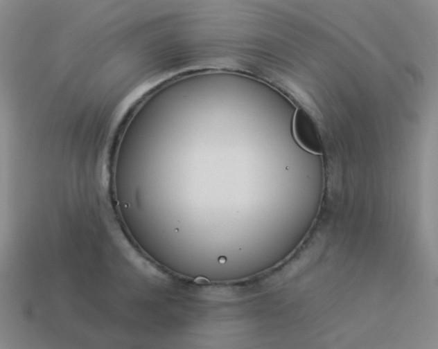 X0000114010944200910161730