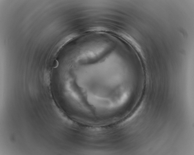 X0000114010945200910161730