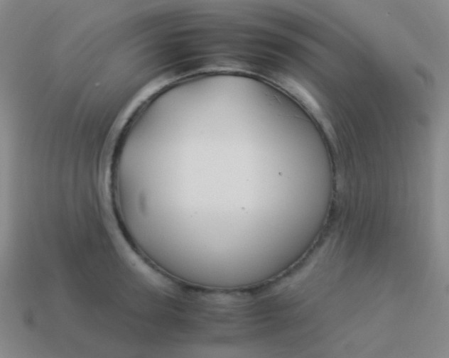 X0000114010947200910161730