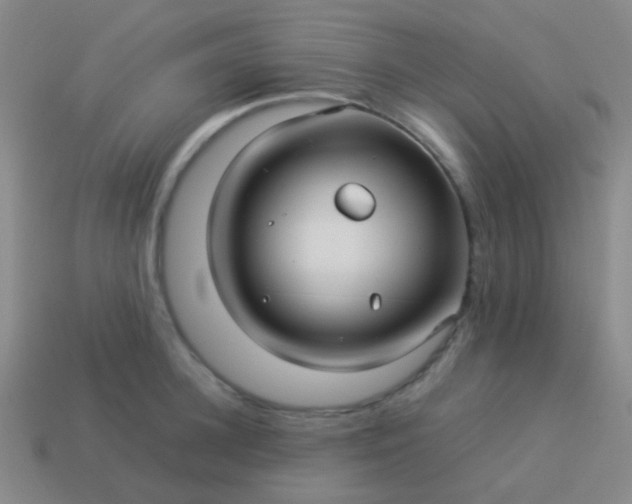 X0000114010948200910161730