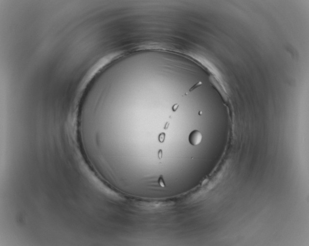 X0000114010949200910161730