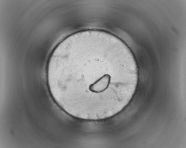 X0000114010950200910161730