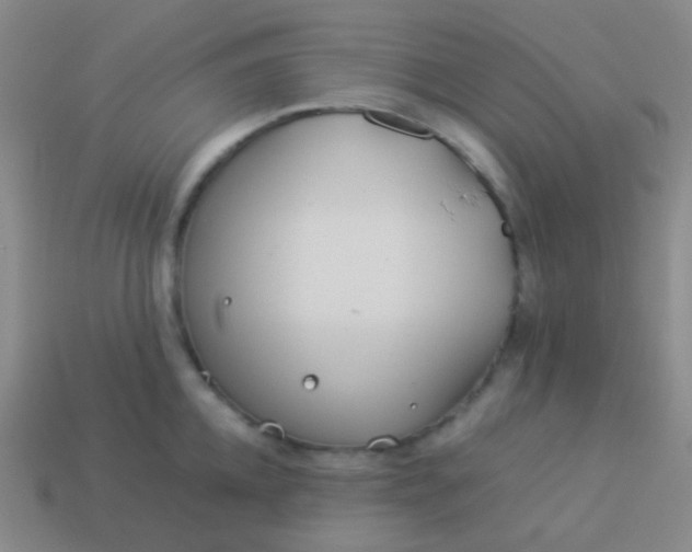 X0000114010952200910161730