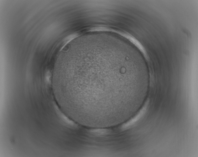 X0000114010953200910161730