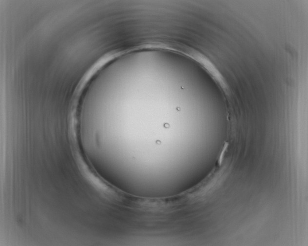 X0000114010955200910161730