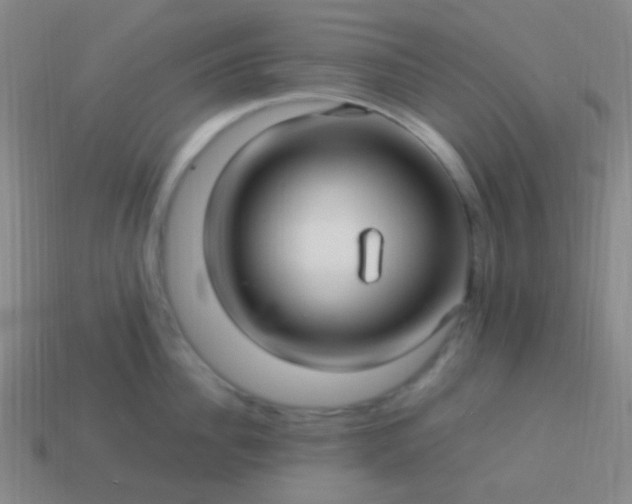 X0000114010956200910161730