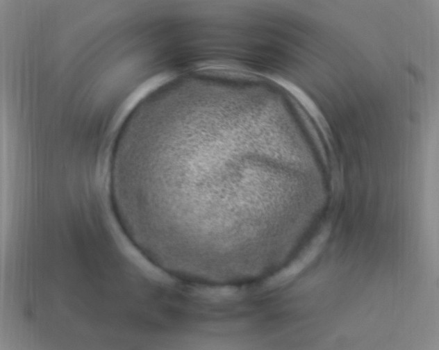 X0000114010957200910161730