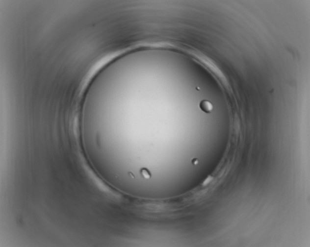 X0000114010959200910161730