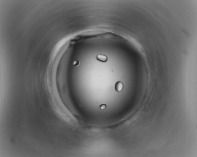 X0000114010960200910161730