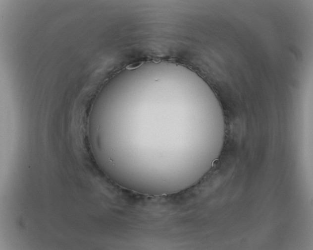 X0000114010961200910161729