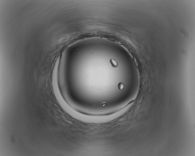 X0000114010965200910161729