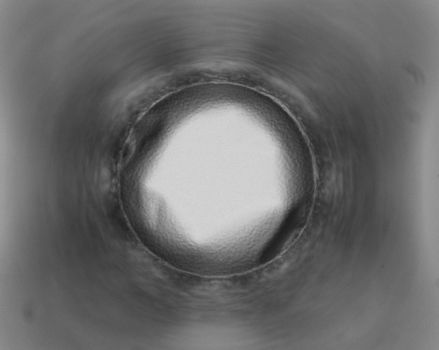 X0000114010966200910161729