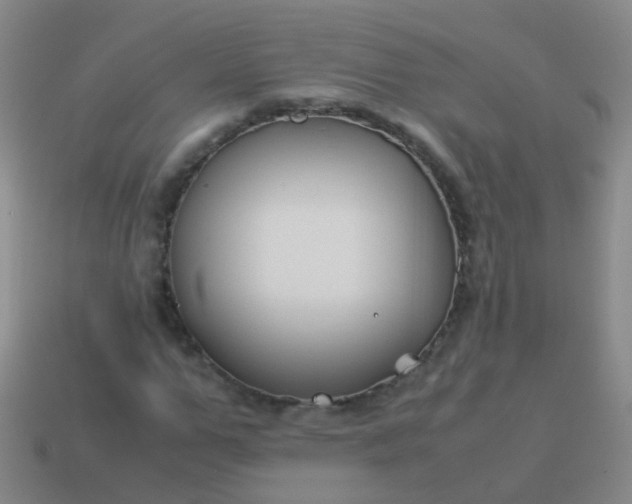 X0000114010967200910161729