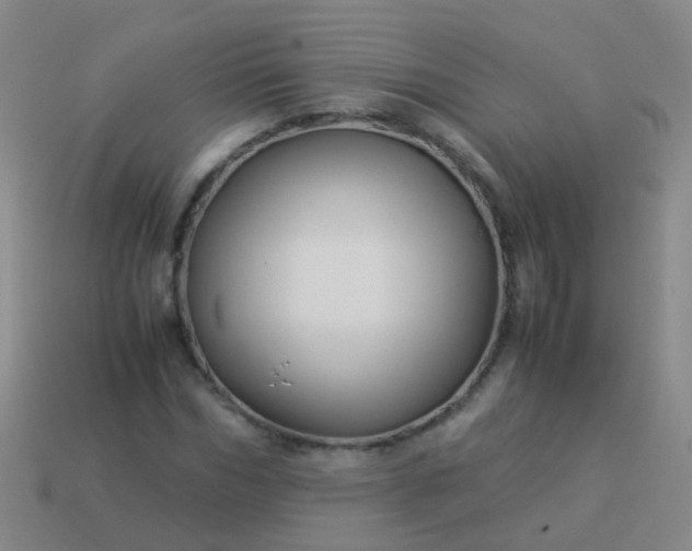 X0000114010970200910161729