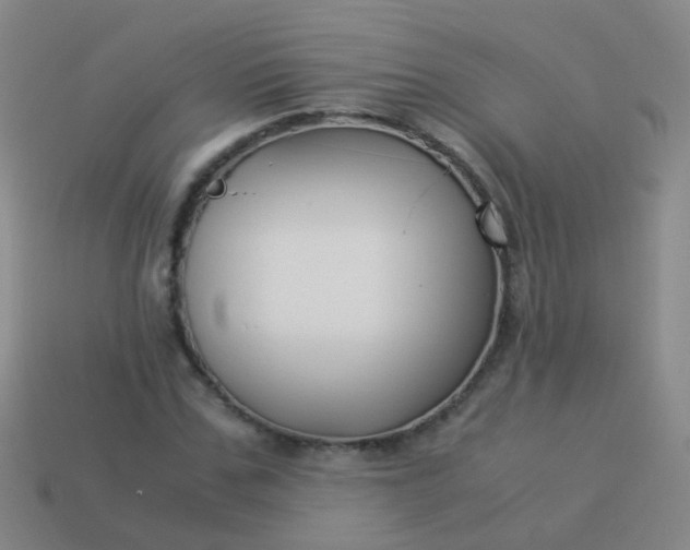 X0000114010971200910161729