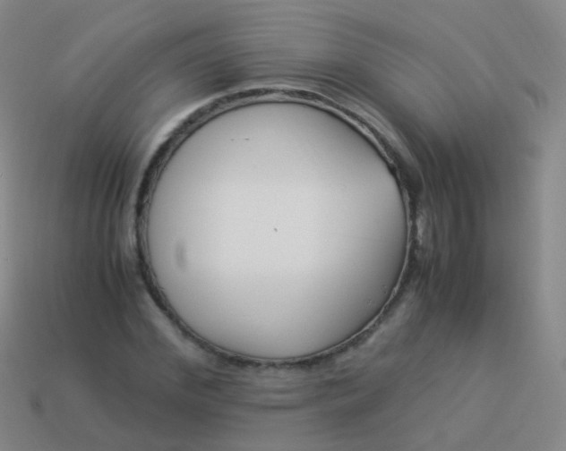 X0000114010972200910161729