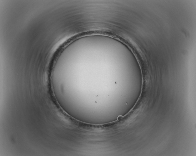 X0000114010975200910161729