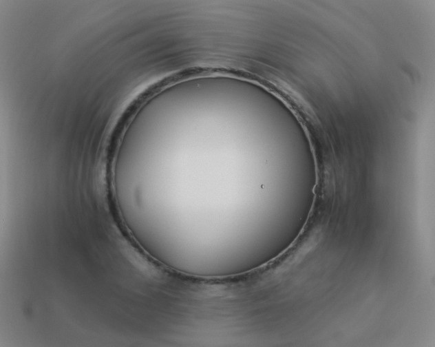 X0000114010976200910161729