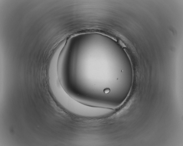 X0000114010977200910161729