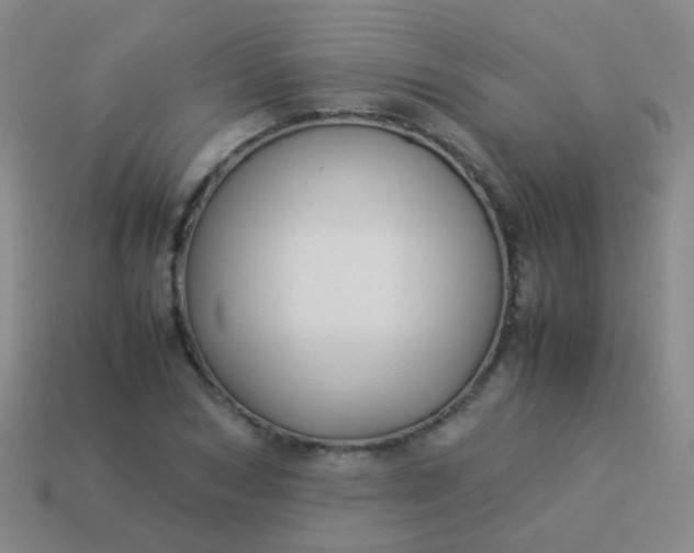 X0000114010978200910161729