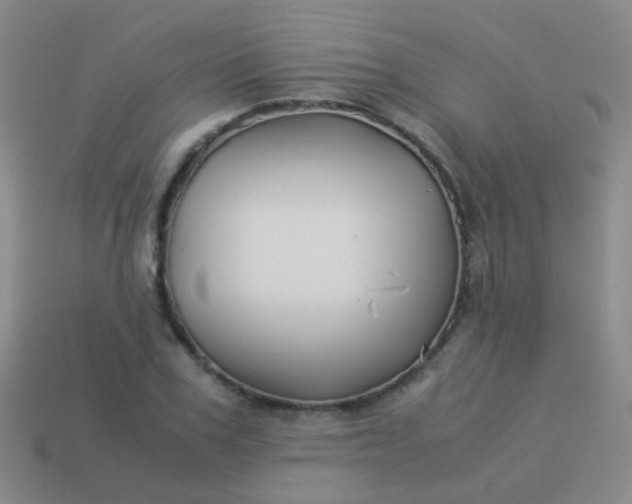 X0000114010979200910161729