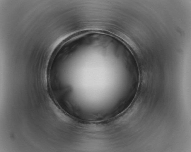 X0000114010980200910161729