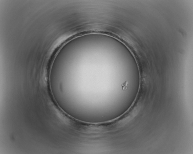 X0000114010981200910161729