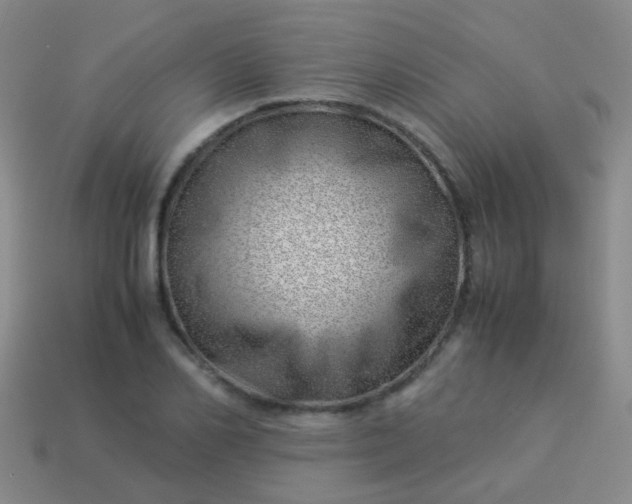 X0000114010982200910161729