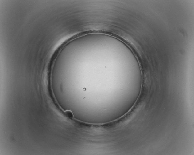 X0000114010983200910161729