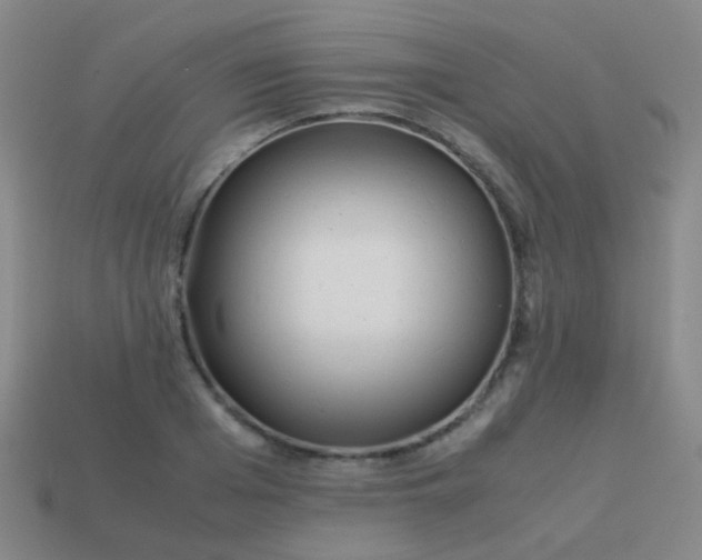 X0000114010985200910161729