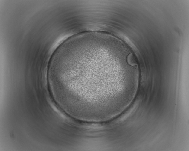 X0000114010986200910161729