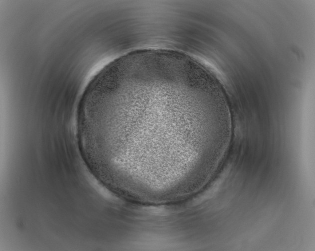 X0000114010990200910161728