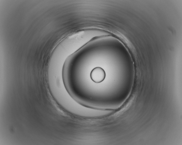 X0000114010993200910161728