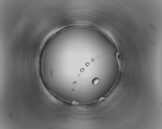 X0000114010995200910161728