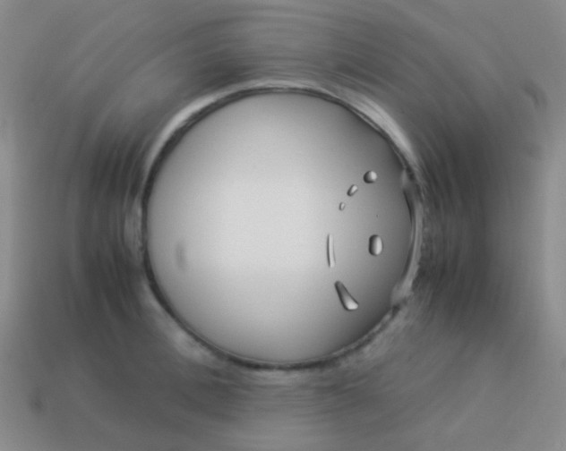 X0000114010996200910161728