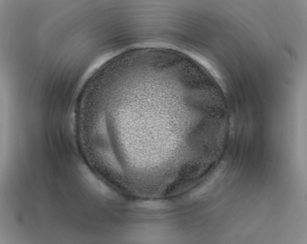 X0000114010998200910161728