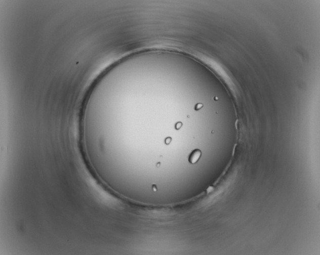 X0000114010999200910161728