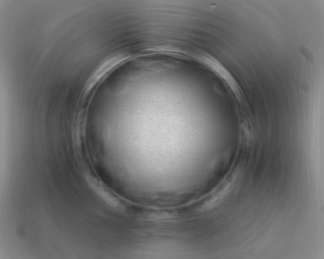 X0000114011002200910161728