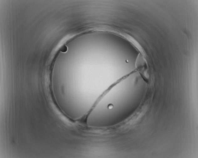 X0000114011005200910161728