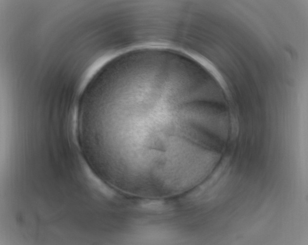 X0000114011006200910161728