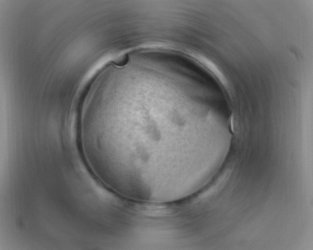 X0000114011007200910161728