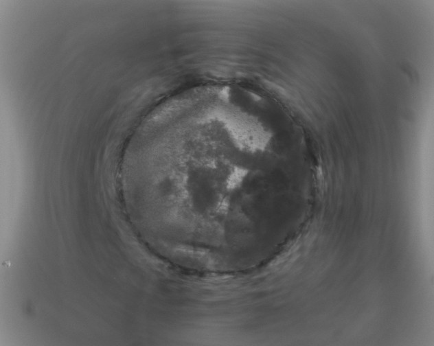 X0000114011009200910161727