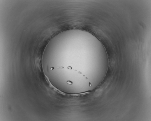 X0000114011010200910161727