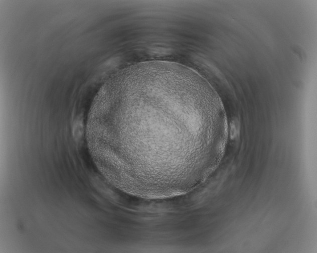 X0000114011011200910161727